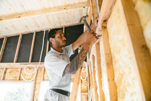 Best Insulation Removal  in West Mountain, UT